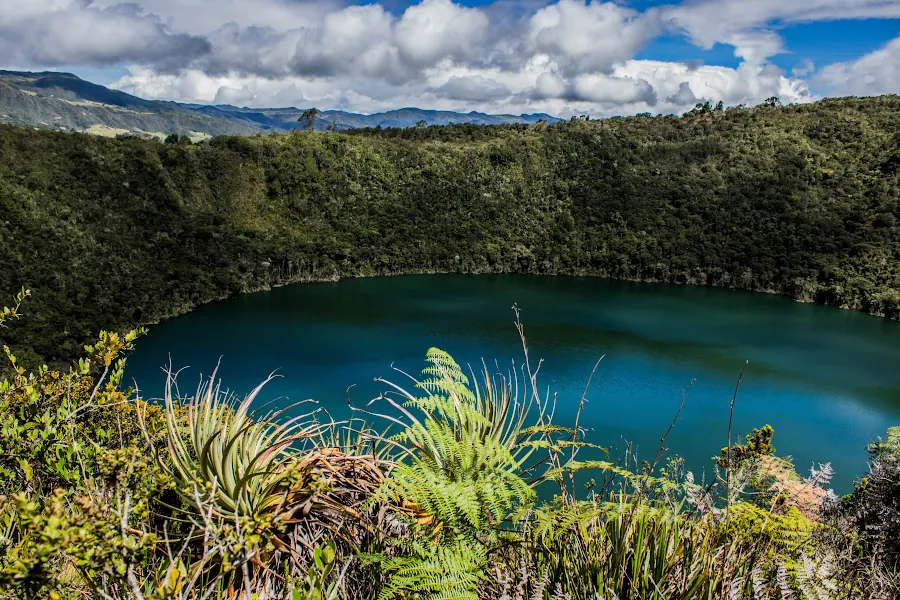 Naturaleza colombiana